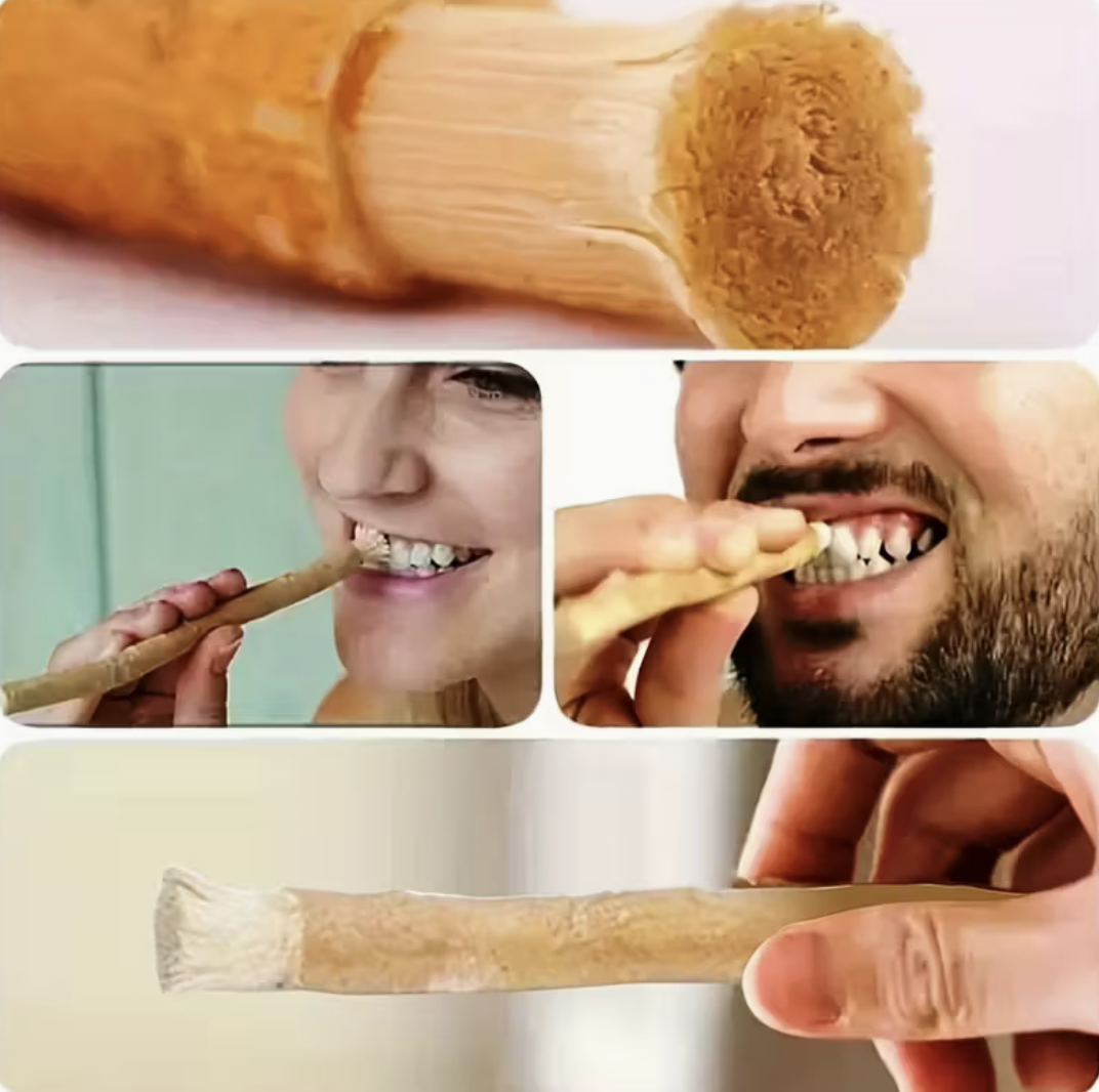 Miswak – Natürliche Robuste Zahnbürste – Bild 2