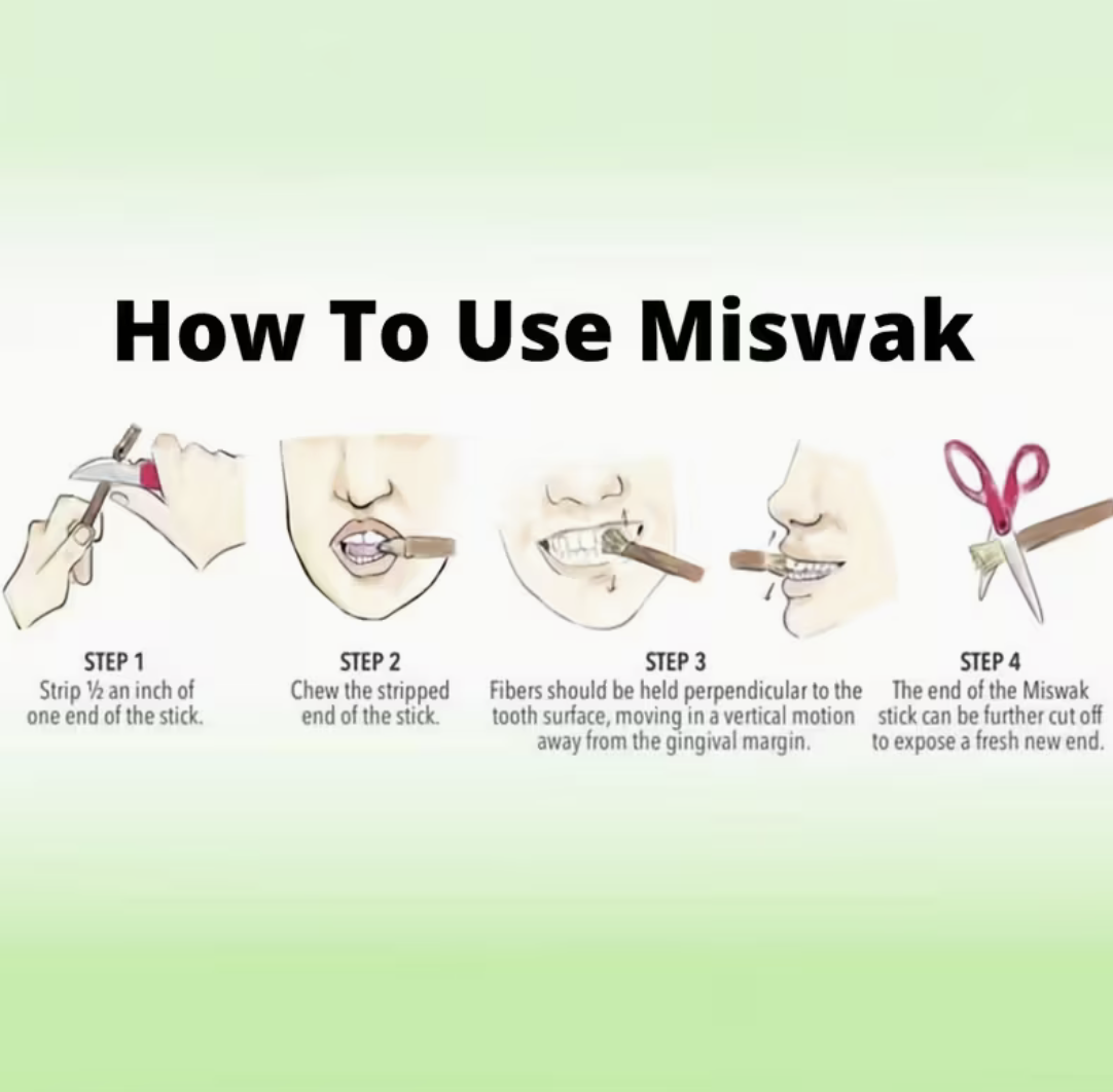 Miswak – Natürliche Robuste Zahnbürste – Bild 3
